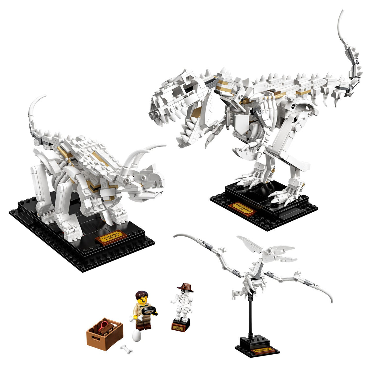 Dinosaur Fossils - LEGO® Ideas 21320